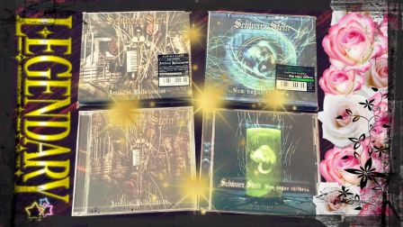 Schwarz Stein: "New Vogue Children" & "Artificial Hallucination" rare collector CD