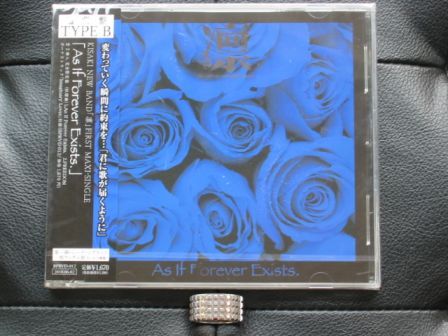 凛 -the end of corruption world- 「As If Forever Exists.」 CD Type B : Front
