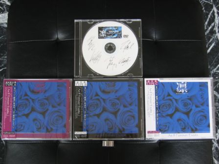 凛 -the end of corruption world- 「As If Forever Exists.」 UNDER CODE Bonus DVD : Making of 「As If Forever Exists.」 PV