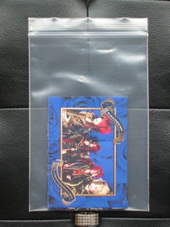 凛 -the end of corruption world- POLAROÏD & TRADING CARD ALBUM: 12 trading cards 1st series NEW