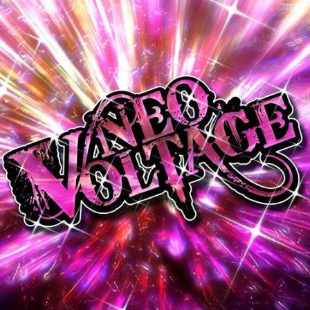 「NEO VOLTAGE」 オムニバスアルバム Cover : Promo picture