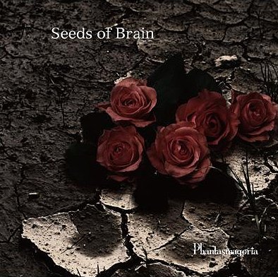Phantasmagoria : Seeds of Brain : cover