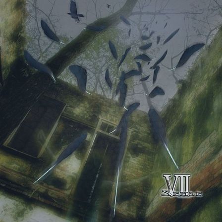 VII-Sense : BLACK BIRD : Front cover