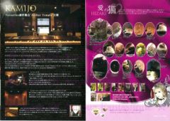 Versailles Philharmonic Quintet Official World Fan Club DESCENDANT OF THE ROSE: Winter 2011 Newsletter VO.01